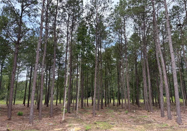 2nd image of 13660 Armstrong Street, Conroe, TX 77303 | MLS# 52887706
