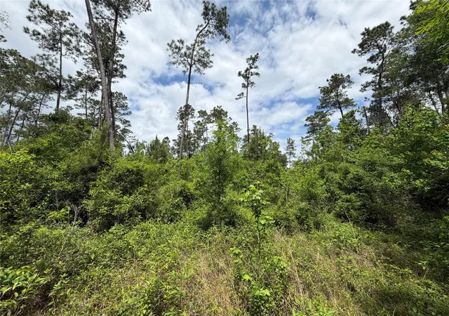 Homes for sale in Thicket, TX | Tbd Kelly Rd Rd, Thicket, TX 77374 | MLS# 46393713