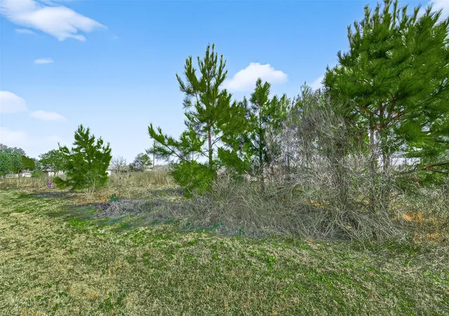 1st image of 0 Ruby Dr, Waller, TX 77484 | MLS# 75091844