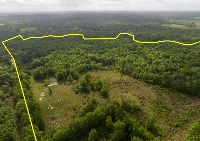 1st image of 0 Fodice Road, Pennington, TX 75856 | MLS# 96511603