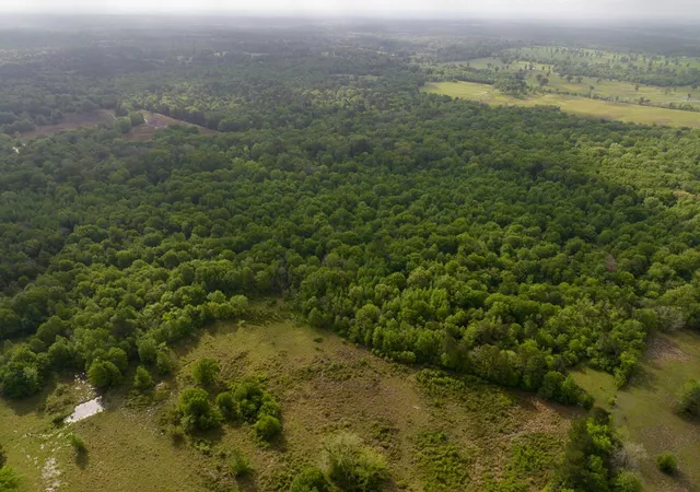 Photo 4 of Land for sale at 0 Fodice Rd, Pennington, TX 75856 | MLS# 96511603 | Listing updated on 2026-07-22
