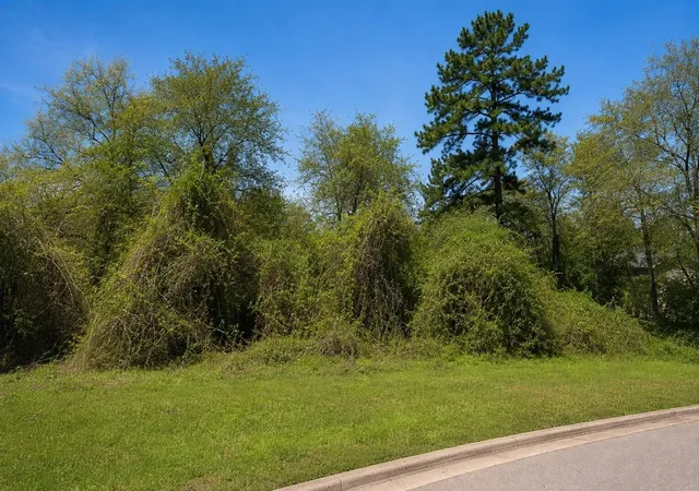 2nd image of 3107 Canterbury Ln, Montgomery, TX 77356 | MLS# 86653553