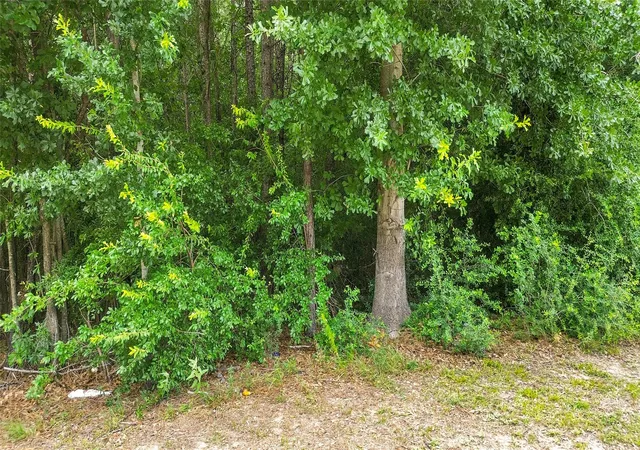 Photo 3 of Sale Pending at 0 Deerbrook Park Blvd, Humble, TX 77338 | MLS# 77795511 | Listing updated on 2026-01-20