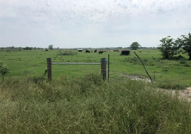 Photo 4 of Land for sale at 0 Daily Rd, Rosenberg, TX 77471 | MLS# 41757180 | Listing updated on 2026-08-04