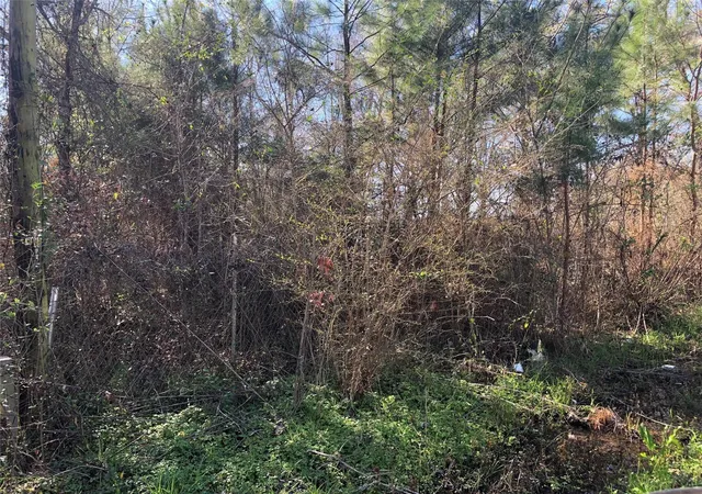 Photo 1 of Land for sale at 0 Piney Ln, Coldspring, TX 77331 | MLS# 85744489 | Listing updated on 2026-08-26
