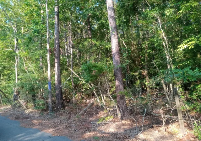 Photo 2 of Land for sale at 0 Piney Ln, Coldspring, TX 77331 | MLS# 85744489 | Listing updated on 2026-08-26