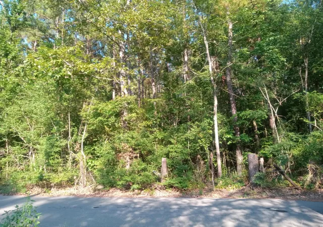 Photo 3 of Land for sale at 0 Piney Ln, Coldspring, TX 77331 | MLS# 85744489 | Listing updated on 2026-08-26