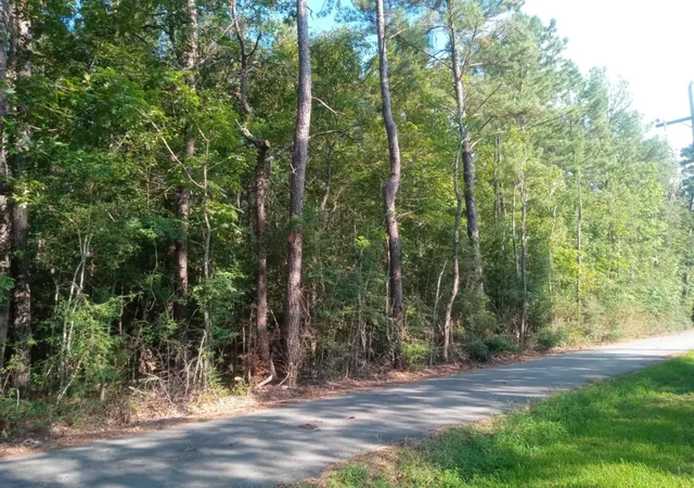 Photo 4 of Land for sale at 0 Piney Ln, Coldspring, TX 77331 | MLS# 85744489 | Listing updated on 2026-08-26