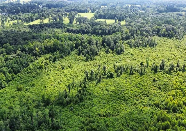 Photo 3 of Land for sale at 1900 E Highway 190, Newton, TX 75966 | MLS# 45239701 | Listing updated on 2026-09-27