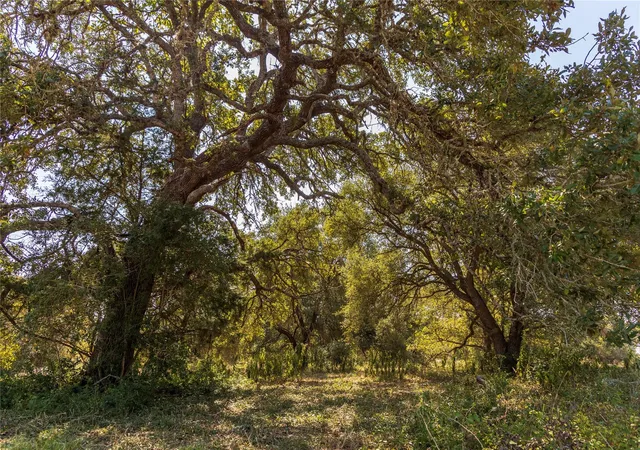 5th image of 9487 Bauer Rd, Fayetteville, TX 78940 | MLS# 67026965