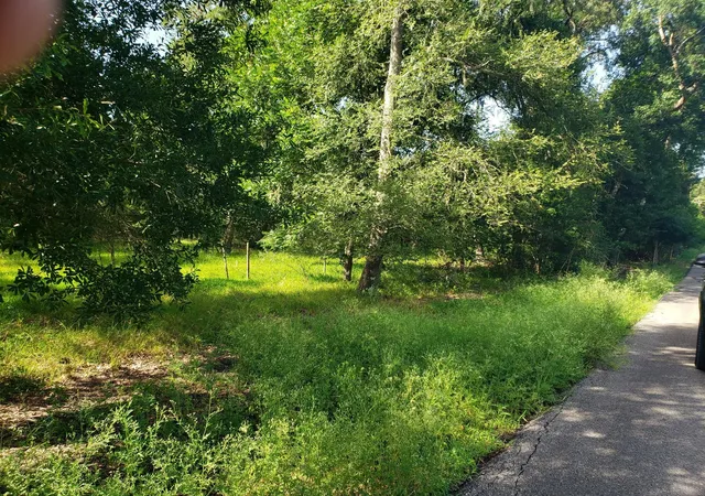 2nd image of 20921 Levee Road Road, Guy, TX 77444 | MLS# 67922466