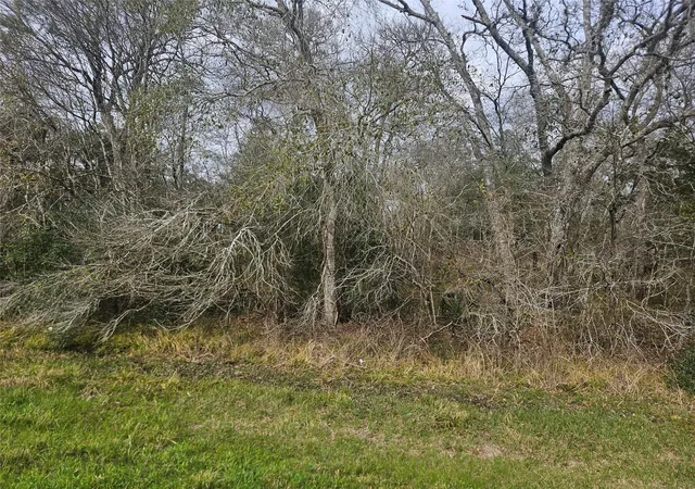 12th image of 29929 Fm 1301 Rd, West Columbia, TX 77486 | MLS# 18036609