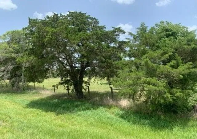 4th image of 29929 Fm 1301 Rd, West Columbia, TX 77486 | MLS# 18036609