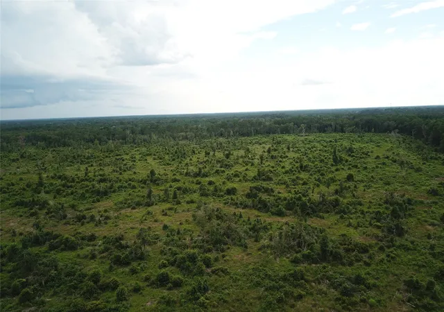 Photo 3 of Land for sale at Tbd County Rd 3089, Kirbyville, TX 75956 | MLS# 3292267 | Listing updated on 2026-08-05