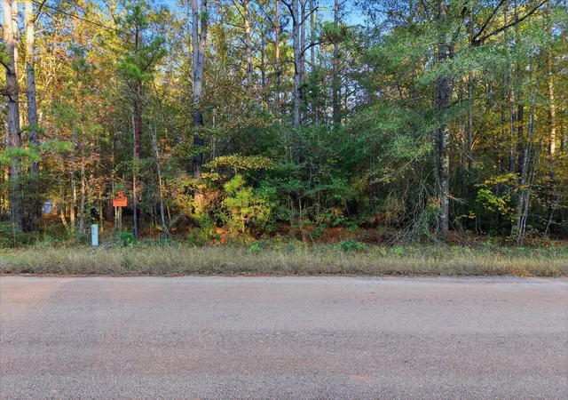 16th image of 0 Lee Dr, Cleveland, TX 77328 | MLS# 76532074
