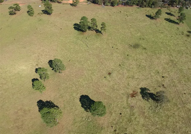 Photo 3 of Land for sale at Lot 252 Lakeland Ranch, Hillister, TX 77624 | MLS# 53965253 | Listing updated on 2026-07-17