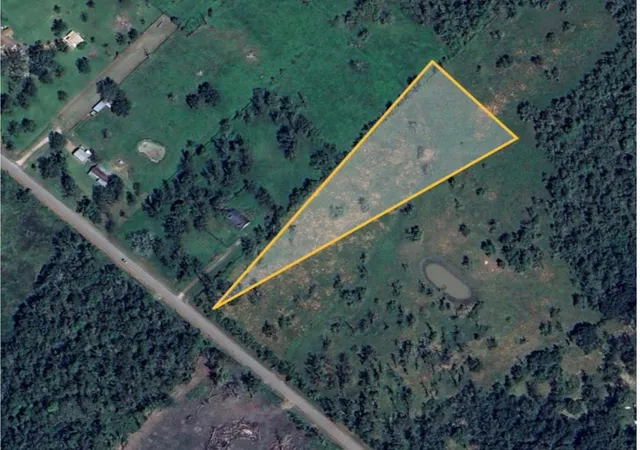 Photo 3 of Land for sale at 0 County Rd 729, Brazoria, TX 77422 | MLS# 94699104 | Listing updated on 2026-01-26