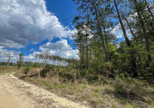 Homes for sale in Colmesneil, TX | 000 County Road 2834, Colmesneil, TX 75938 | MLS# 35017427