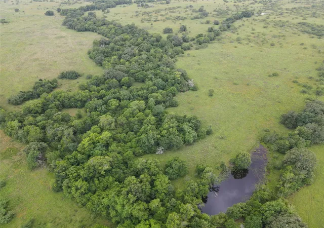 Photo 4 of Land for sale at 5784 County Rd 123, Iola, TX 77861 | MLS# 72381661 | Listing updated on 2026-08-20
