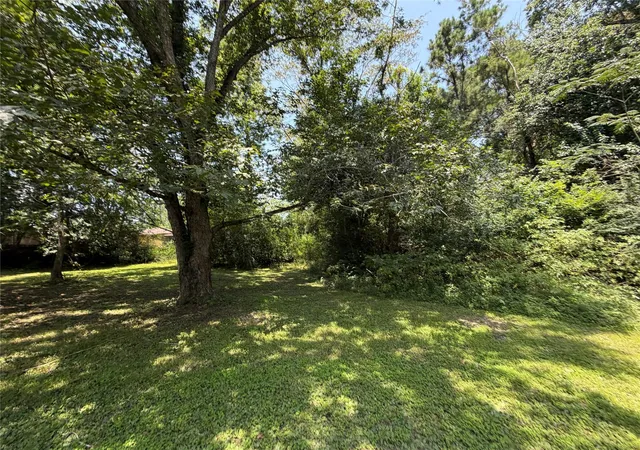 20th image of 509 E Martin Luther King Blvd, Jasper, TX 75951 | MLS# 44355428