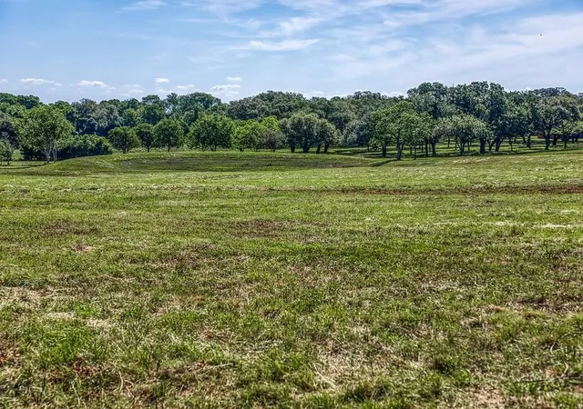 Photo 4 of Land for sale at Tract 2 - Asa Hoxie Rd E, Brenham, TX 77833 | MLS# 10620583 | Listing updated on 2026-09-04