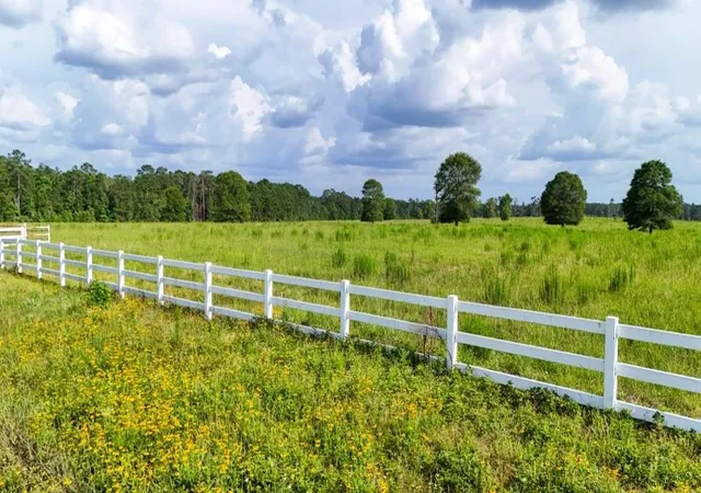 1st image of Xxx Cr 1450, Warren, TX 77664 | MLS# 56747603