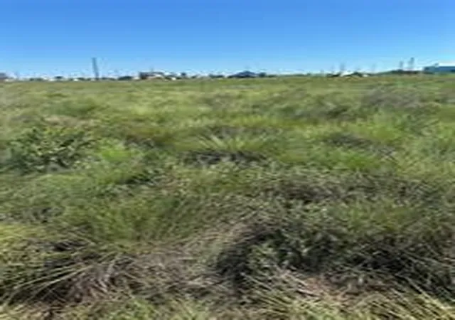1st image of 339 Merganzer, Bay City, TX 77414 | MLS# 31818100