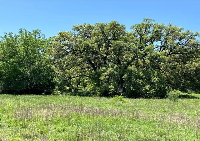 Homes for sale in Schulenburg, TX | 0000 Fm 1579, Schulenburg, TX 78956 | MLS# 10897245