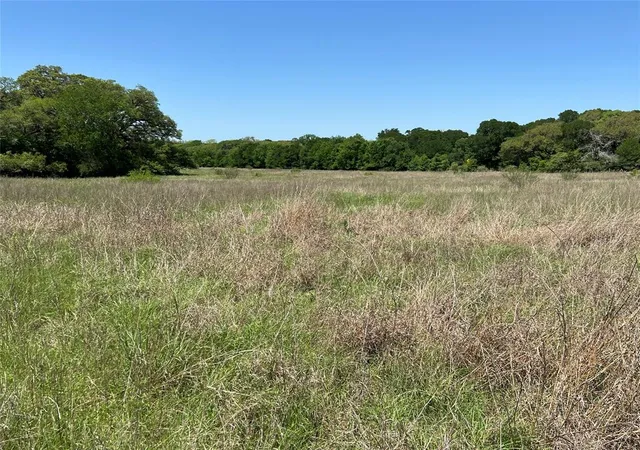 Homes for sale in Schulenburg, TX | 0000 Fm 1579, Schulenburg, TX 78956 | MLS# 10897245