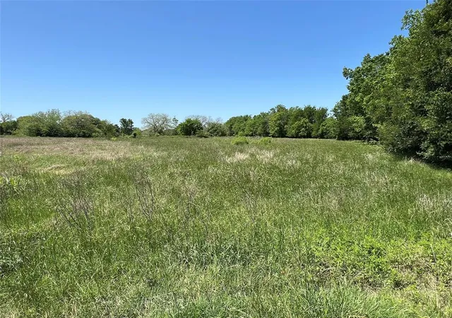 Homes for sale in Schulenburg, TX | 0000 Fm 1579, Schulenburg, TX 78956 | MLS# 10897245