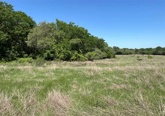 Homes for sale in Schulenburg, TX | 0000 Fm 1579, Schulenburg, TX 78956 | MLS# 10897245