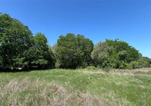 Homes for sale in Schulenburg, TX | 0000 Fm 1579, Schulenburg, TX 78956 | MLS# 10897245