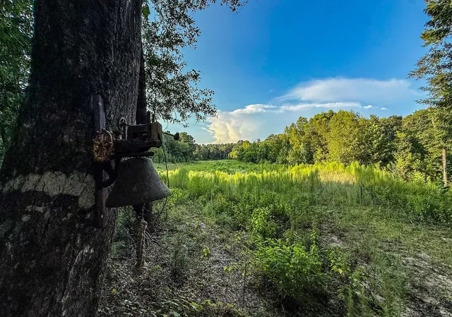2nd image of 3 Acres Sky Oak Ln, Huntsville, TX 77340 | MLS# 69787011