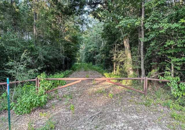 3rd image of 3 Acres Sky Oak Ln, Huntsville, TX 77340 | MLS# 69787011