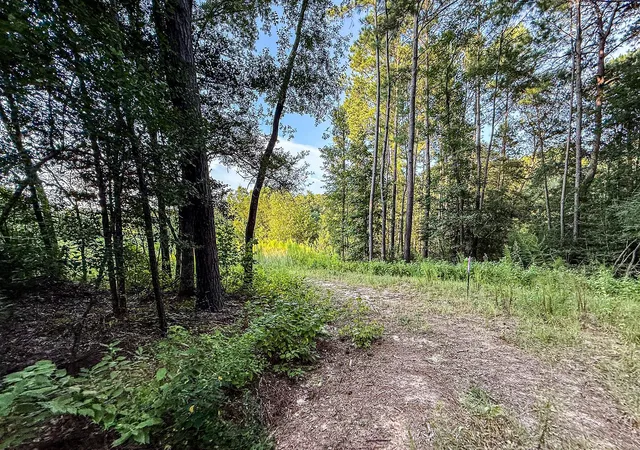 5th image of 3 Acres Sky Oak Ln, Huntsville, TX 77340 | MLS# 69787011
