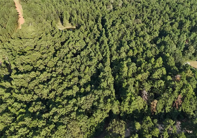Photo 3 of Land for sale at Lot 26 Deer Run Rd, Chester, TX 75936 | MLS# 82495680 | Listing updated on 2026-08-25