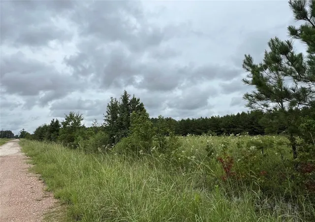 Photo 3 of Land for sale at 04 County Rd 2204, Cleveland, TX 77327 | MLS# 81350260 | Listing updated on 2026-01-14