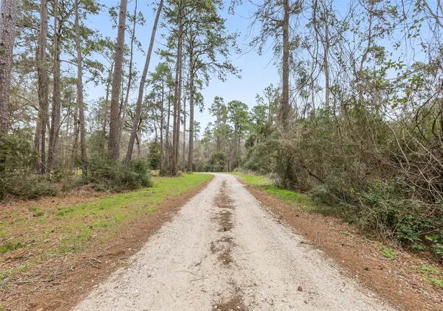 Photo 3 of Land for sale at 23515 Cardinal Dr, Hockley, TX 77447 | MLS# 16245762 | Listing updated on 2026-06-28