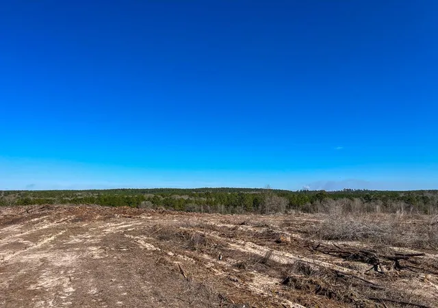 18th image of T 3 Cr 2140, Crockett, TX 75835 | MLS# 59081289