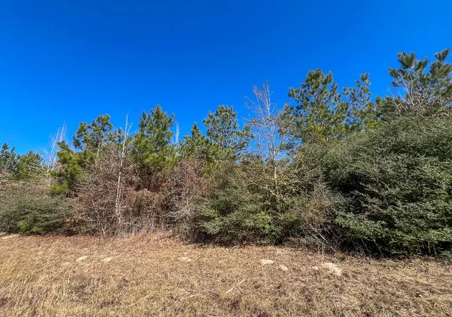 4th image of T-3 Cr 2140, Crockett, TX 75835 | MLS# 59081289