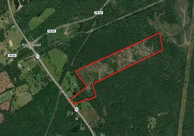 Homes for sale in Bleakwood, TX | Tbd State Hwy 87, Bleakwood, TX 75956 | MLS# 97770286