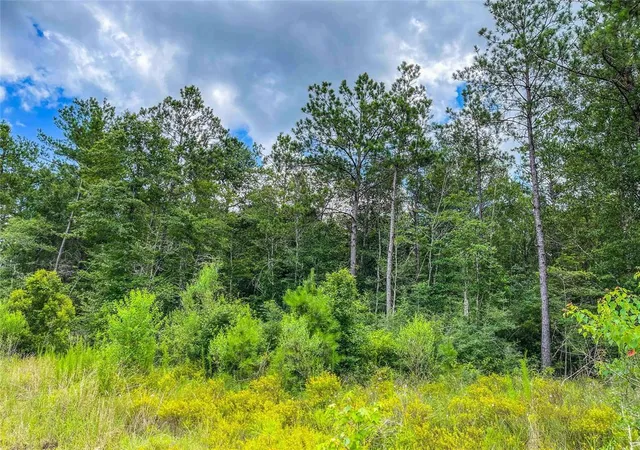 Homes for sale in Bleakwood, TX | Tbd State Hwy 87, Bleakwood, TX 75956 | MLS# 97770286