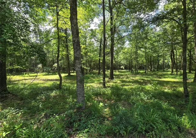 Photo 1 of Land for sale at 00 Tbd Hwy 150 W, Coldspring, TX 77331 | MLS# 5097288 | Listing updated on 2026-09-14