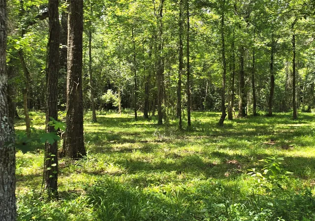 Photo 2 of Land for sale at 00 Tbd Hwy 150 W, Coldspring, TX 77331 | MLS# 5097288 | Listing updated on 2026-09-14