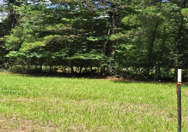 Photo 3 of Land for sale at 00 Tbd Hwy 150 W, Coldspring, TX 77331 | MLS# 5097288 | Listing updated on 2026-09-14