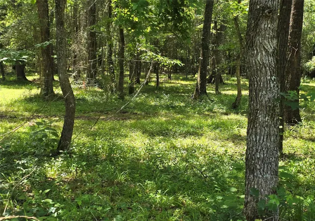 Photo 4 of Land for sale at 00 Tbd Hwy 150 W, Coldspring, TX 77331 | MLS# 5097288 | Listing updated on 2026-09-14