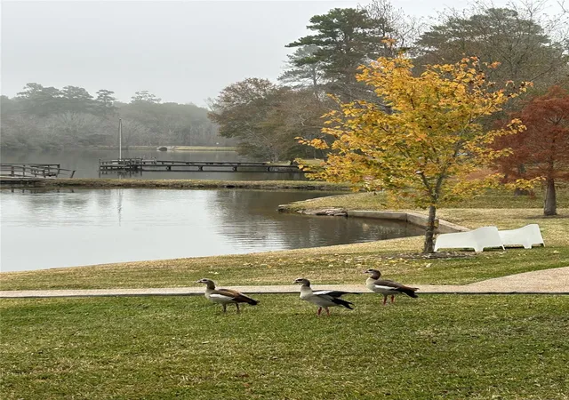Photo 12 of Sale Pending at 1 Sunset Lake, Huntsville, TX 77340 | MLS# 59254348 | Listing updated on 2026-08-05