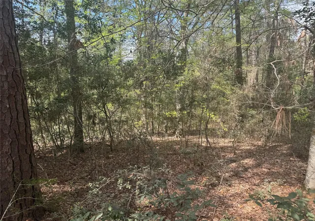 Homes for sale in Livingston, TX | Tbd Big Foot Wallace Trail, Livingston, TX 77351 | MLS# 4973989