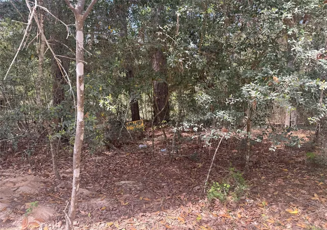 Photo 3 of Land for sale at Tbd Big Ft Wallace Trl, Livingston, TX 77351 | MLS# 4973989 | Listing updated on 2026-09-17