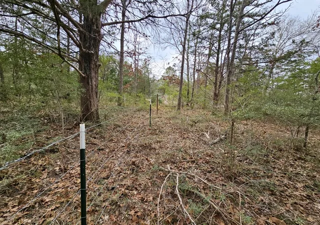 image of Tbd Jackrabbit Lane Lane, Bryan, TX 77808 | MLS# 71440508